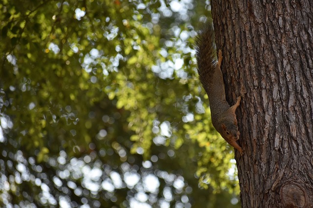 中创造奇迹 中创造奇迹